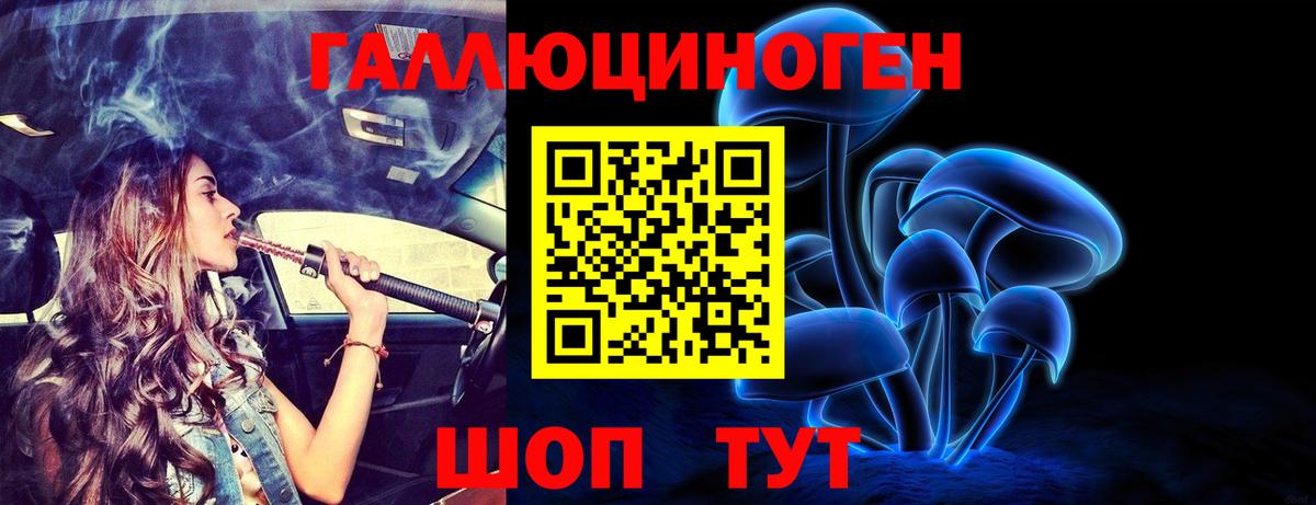 Сосновоборск  Псилоцибиновые грибы прущие грибы  Вход с VPN 